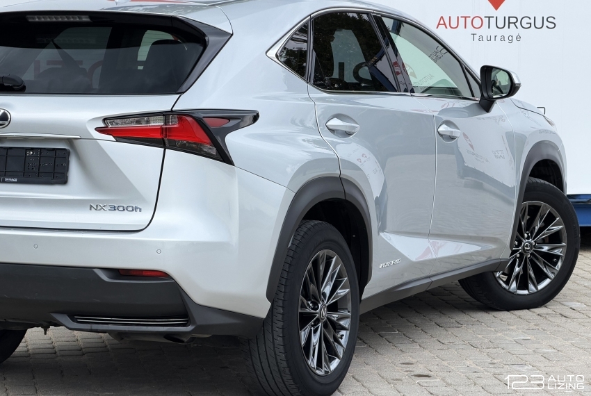 Lexus NX 300h