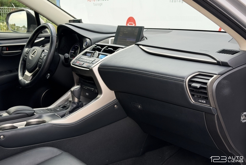 Lexus NX 300h