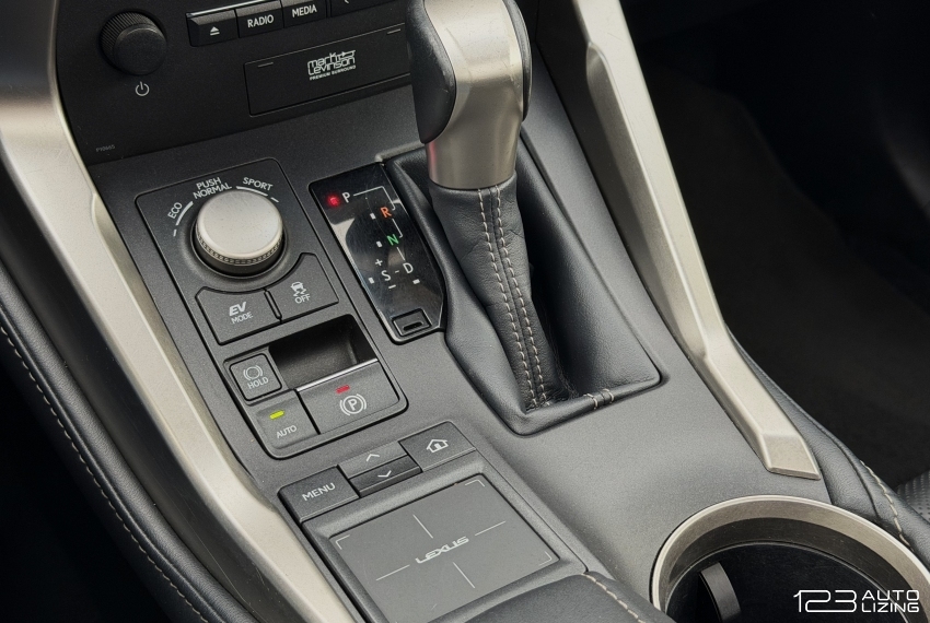 Lexus NX 300h