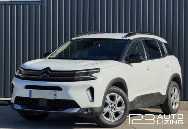 Citroen C5 Aircross, Visureigis