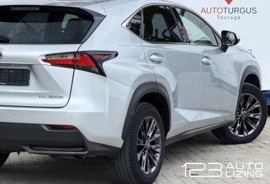 Lexus NX 300h