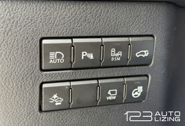 Lexus NX 300h