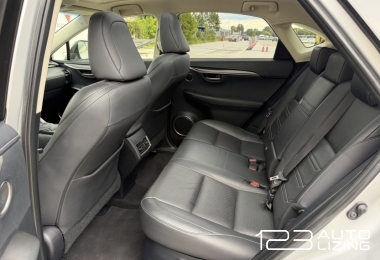 Lexus NX 300h
