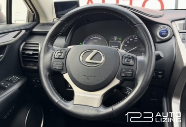 Lexus NX 300h