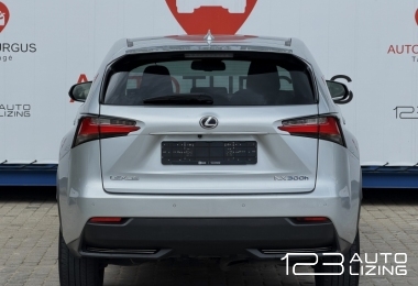 Lexus NX 300h