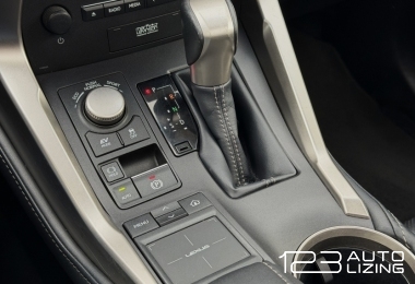 Lexus NX 300h