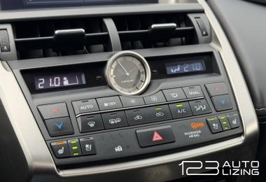 Lexus NX 300h